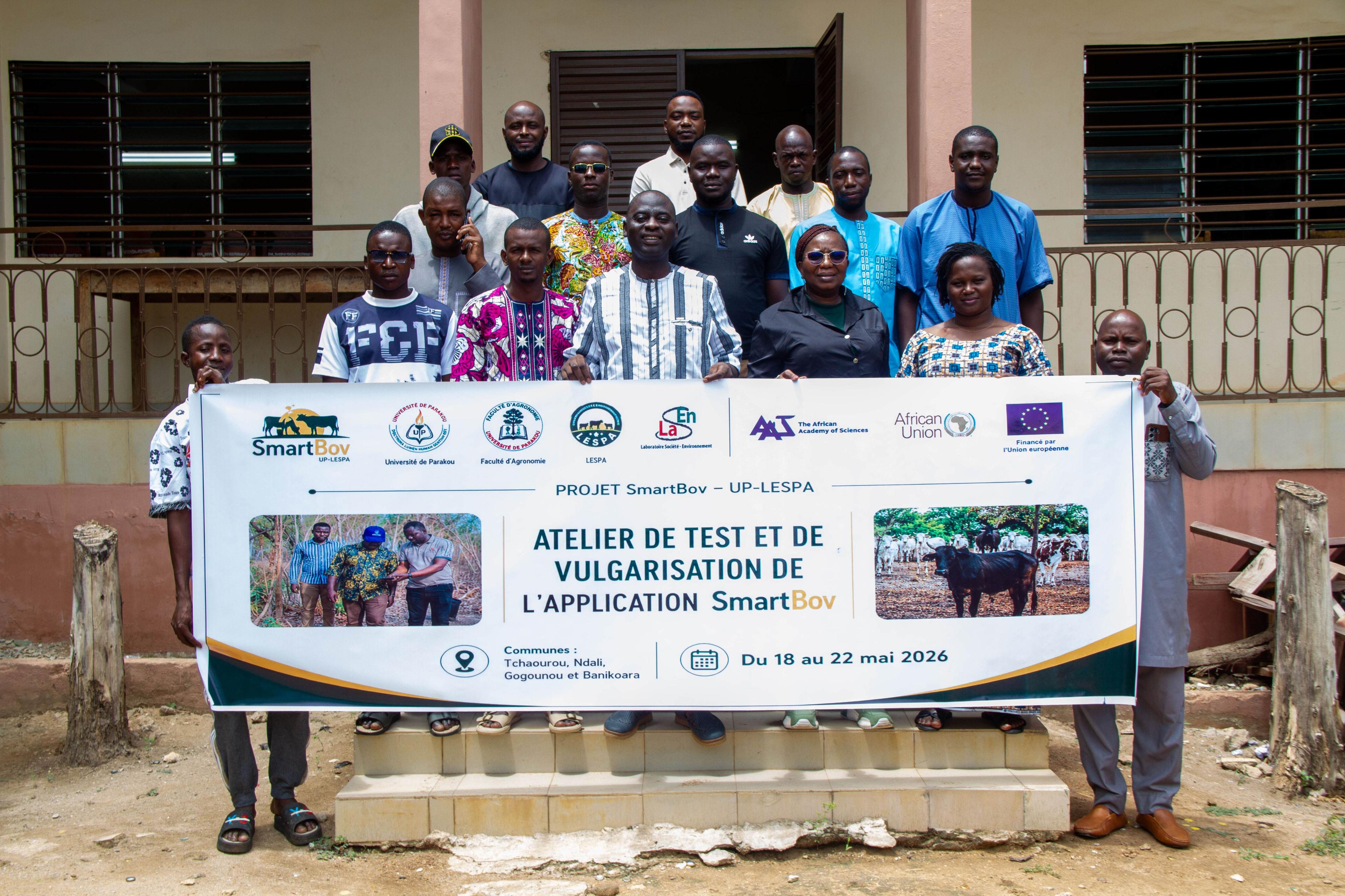 Rethinking Cattle Feeding in West Africa: How SmartBov Could Transform Livestock Production